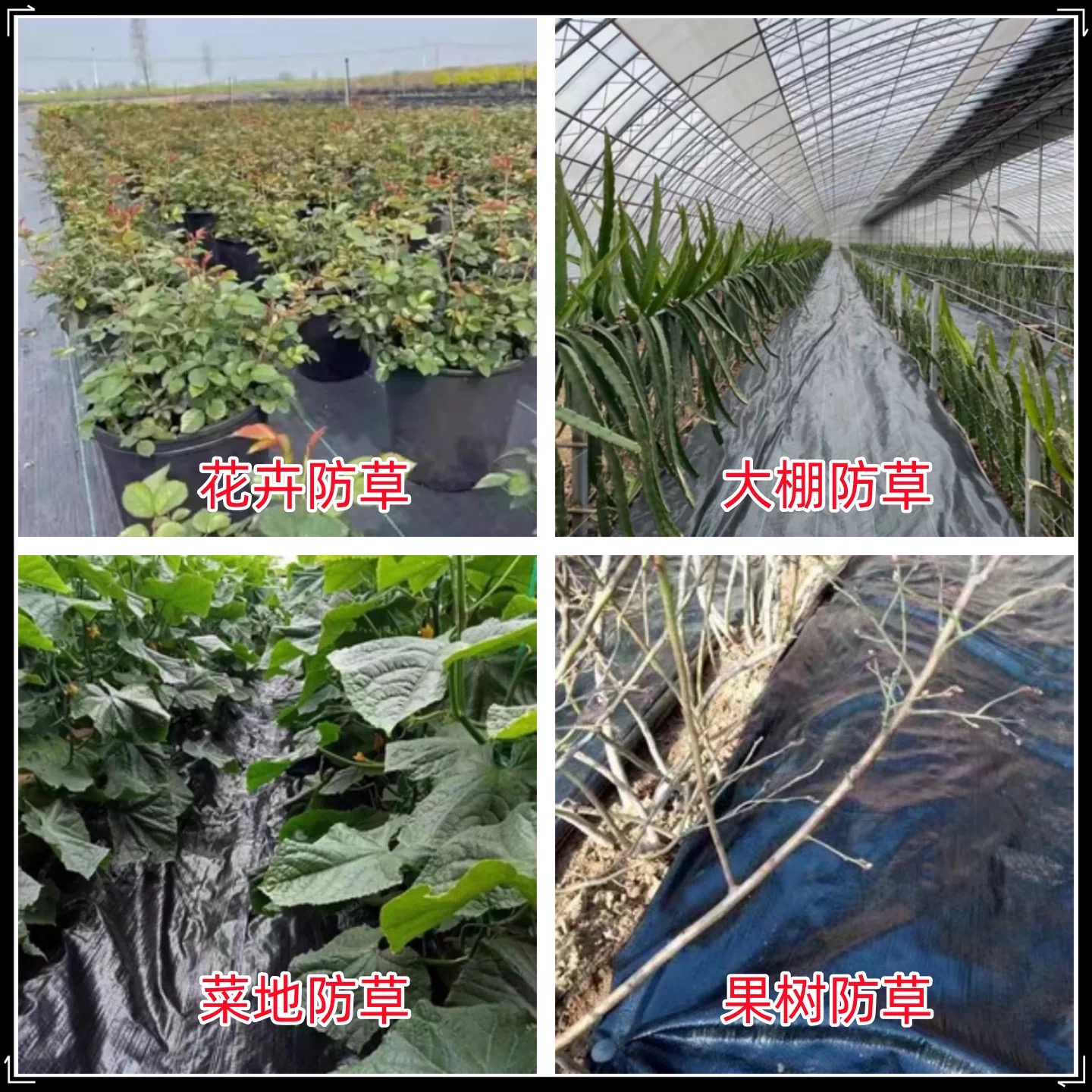 吉安市果树反光膜防草布 - 方案